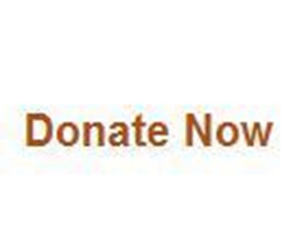 Picture of JC Test 110624 - Donation